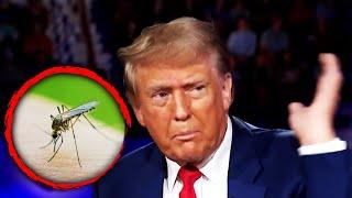 Mosquito Interrupts Donald Trumps Rant During Town Hall