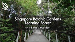 Singapore Botanic Gardens Learning Forest  An NParks Virtual Tour