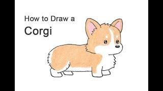 How to Draw a Corgi Cartoon