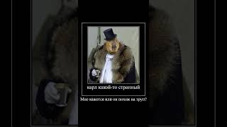 Капибары ведут диалог #capybara #memes #капибара