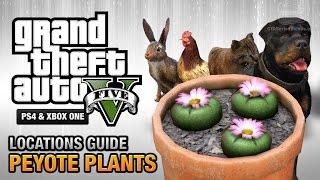 GTA 5 - Peyote Plants Location Guide Play as an Animal