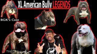 The Top 15 XL AMERICAN BULLY LEGENDS Pitbull Legends