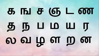 தமிழ் உயிர்மெய் எழுத்துக்கள்  Tamil Uyirmei ezhuthukkal    க ங ச ஞ  kanacha  Tamil Alphabets 