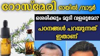 Rosemary oil  water research study  മുടി വളരുമോ? പഠനങ്ങൾ പറയുന്നത് ഇതാണ്