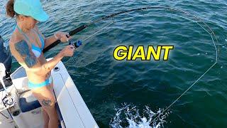 Girl catches MONSTER fish at the Jetty