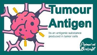 Tumour antigens  Tumour specific antigen  Tumour-associated antigen  Tumour immunity