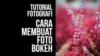 Photography Tutorial How to Take Bokeh Photos