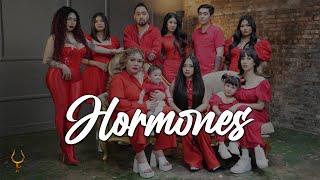 ToRo Family S2 EP19 Hormones