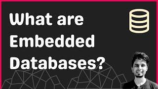 What are Embedded Databases?