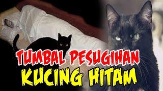 CERITA MISTERI KISAH NYATA  TUMBAL PESUGIHAN KUCING HITAM