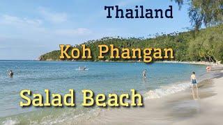Walking on the best Beach in Koh Phangan A virtual tour of Salad Beach #saladbeach #kohphangan