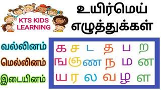 க ச ட த ப ற‌ வல்லினமாம் குழந்தை பாடல்  ka sa da tha pa ra vallinamaam tamil Rhymes for kids