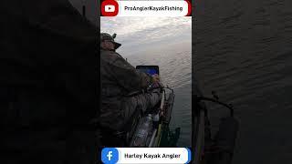 HUGE SKATE - KAYAK FISHING UK - SEA FISHING UK - FISH ON - SCOTLAND FISHING