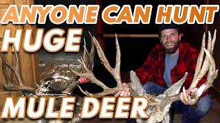 Hunting Huge Mule Deer - Anyone Can Heres How