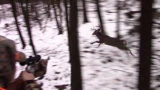 OUR BEST RIFLE HUNTING KILLSHOTS COMPILATION Big Buck