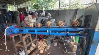 #Mesin #Mesinkelapa #Mesinpertanian            Mesin pembelah kelapa untuk kopra putih white meat