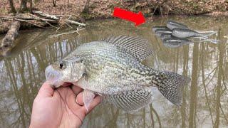 Easy Way to Catch WINTER Crappie