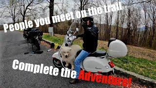 Sammi the pup rides a Vespa 300 Motorcycle camping Skyline Drive