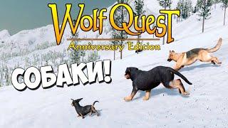 Увидеть новый снег и умереть.. в водопаде WolfQuest Anniversary Edition # 105