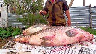 6 DISHES FROM HUGE SAZANS 18 kg CATCH AND COOK MY CATCH Eng sub