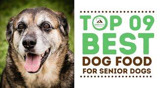 Top Best Dog Foods for Senior Dogs