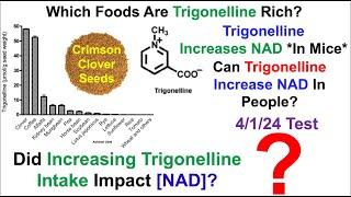 Increased NAD With Clover Sprouts