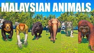 Malaysian Animals Category Speed Races in Planet Zoo included Tapir Orangutan Leopard Bear