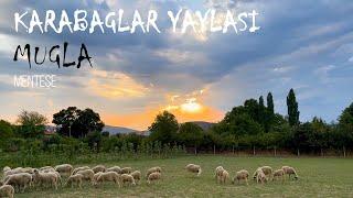 KARABAĞLAR YAYLASINDA BİR GÜN I MENTEŞE I MUĞLA