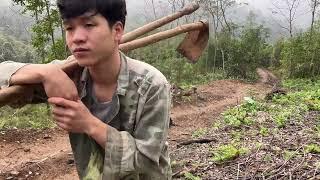 Daily life of Ún and Thang - Go dig wild potatoes goes to market sell Cooking - Off Grid Living