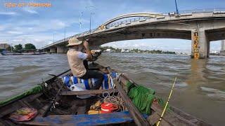 Câu Cá Basa Cầu Quang Trung Cần Thơ  Trúng Nước Cá Ăn không Kịp Thay Mồi  Tân CT Fishing.