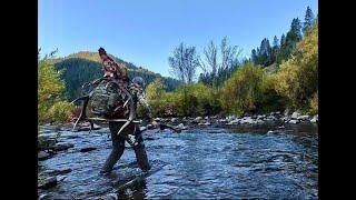 Solo Archery Elk With A Recurve TRAD BOW BULL - Mtn Ascent #22