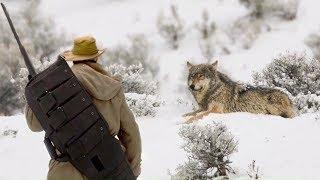 The forest ranger saved the old wolf from the ravine and after some time the wolf changed his fate