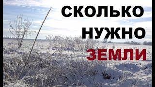 Сколько нужно земли для самообеспечения?