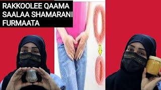 Rakkoolee Qaama Saalaa Shamarani Furmata