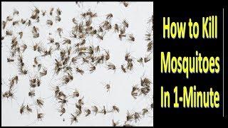 Without ALLOut GOODnight and Without Chemicals How to Kill Mosquitoes in One Minute