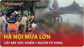 Mưa lớn trước khi bão Yagi chính thức đổ bộ Hà Nội cây bật gốc đè trúng người đi đường  VN+