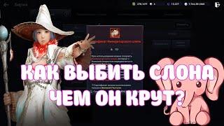 ИМПЕРАТОСКИЙ СЛОН  КАК ВЫБИТЬ  ЧТО ДЕЛАЕТ  СЛОМАНАЯ ТРУБА  BLACK DESERT MOBILE