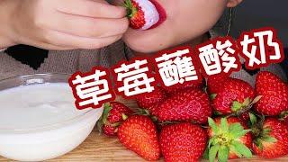 草莓蘸酸奶︱脆脆的草莓籽超好听︱吃播 咀嚼音