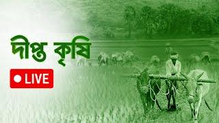 Deepto Krishi Live  দীপ্ত কৃষি  Deepto TV Live Streaming  Live TV  Live Krishi  Krishi TV Live