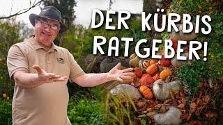 Kürbis richtig anbauen  - Tipps zur erfolgreichen Aussaat Pflege und Ernte