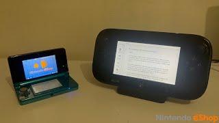 3DS & Wii U eShop - The Final Browse