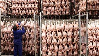 89 Billion Broiler Chickens In America Are Produced This Way - Chicken Farming