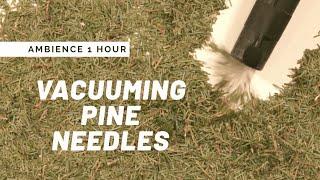 Vacuuming Pine Needles 1 Hour Oddly Satisfying ASMR