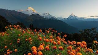 Natural Beauty In Nepal ️ Khoriya myagdi️