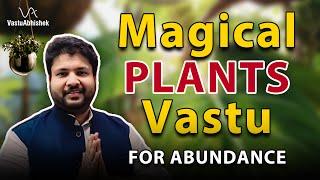 Lucky Plants for Home Vastu  Best Vaastu Plants for Home