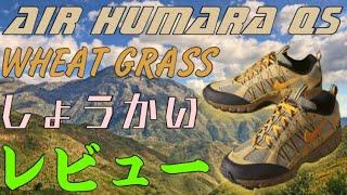 【ハイテクトレイルランニング！】NIKE AIR HUMARA QS WHEAT GRASS紹介・レビュー！