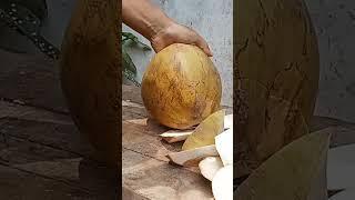 amazing Sliced Coconut Peeling Styles coconut cutting knife #cuttingskills #youngcoconut