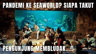 PANDEMI 2022 KE SEAWORLD ANCOL? PENGUNJUNG MEMBLUDAK..