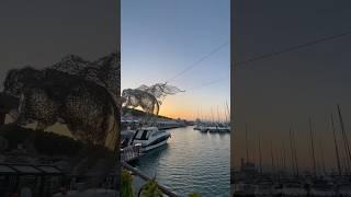 Çeşme Marina #çeşme #marina #marinabeach #travelphotoss35 #youtubeshorts #shortvideo #beniöneçıkart