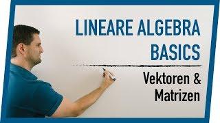Lineare Algebra  Denkanstoß zu Vektoren Matrizen Linearkombinationen  Mathe by Daniel Jung